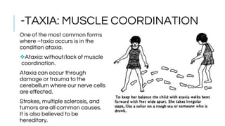 -TAXIA: MUSCLE COORDINATION
One of the most common forms
where –taxia occurs is in the
condition ataxia.
❖Ataxia: without/lack of muscle
coordination.
Ataxia can occur through
damage or trauma to the
cerebellum where our nerve cells
are effected.
Strokes, multiple sclerosis, and
tumors are all common causes.
It is also believed to be
hereditary.
 
