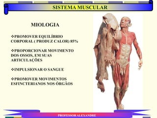 SISTEMA MUSCULAR
PROFESSOR ALEXANDRE
MIOLOGIA
PROMOVER EQUILÍBRIO
CORPORAL ( PRODUZ CALOR) 85%
PROPORCIONAR MOVIMENTO
DOS OSSOS, EM SUAS
ARTICULAÇÕES
IMPULSIONAR O SANGUE
PROMOVER MOVIMENTOS
ESFINCTERIANOS NOS ÓRGÃOS
 