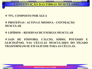 CONSTITUIÇÃO DAS FIBRAS MUSCULARES
PROFESSOR ALEXANDRE
 75% COMPOSTO POR ÁGUA
 PROTEÍNAS - ACTINA E MIOSINA – CONTRAÇÃO
MUSCULAR
 LIPÍDIOS – RESERVAS DE ENERGIA MUSCULAR
 SAIS DE FÓSFORO, CÁLCIO, SÓDIO, POTÁSSIO E
GLICOGÊNIO, NAS CÉLULAS MUSCULARES DO FÍGADO
TRASFORMAM-SE EM GLICOSE PARA AS CÉLULAS.
 