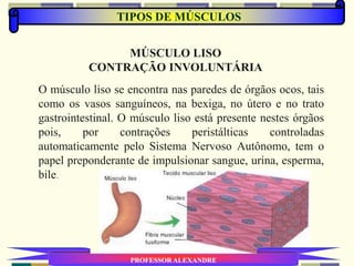 TIPOS DE MÚSCULOS
PROFESSOR ALEXANDRE
MÚSCULO LISO
CONTRAÇÃO INVOLUNTÁRIA
O músculo liso se encontra nas paredes de órgãos ocos, tais
como os vasos sanguíneos, na bexiga, no útero e no trato
gastrointestinal. O músculo liso está presente nestes órgãos
pois, por contrações peristálticas controladas
automaticamente pelo Sistema Nervoso Autônomo, tem o
papel preponderante de impulsionar sangue, urina, esperma,
bile.
 