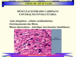 PROFESSOR ALEXANDRE
TIPOS DE MÚSCULOS
MÚSCULO ESTRIADO CARDÍACO
CONTRAÇÃO INVOLUNTÁRIA
Ação miogênica - células cardiomiócitos.
Entrelaçamento das fibras
Discos intercalares – interligar movimentos simultâneos
 