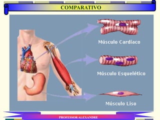COMPARATIVO
PROFESSOR ALEXANDRE
 