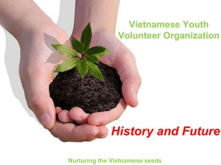Vietnamese Youth
Volunteer Organization
Nurturing the Vietnamese seeds
History and Future
 