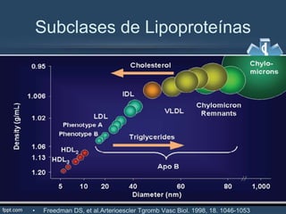 Subclases de Lipoproteínas
• Freedman DS, et al.Arterioescler Tgromb Vasc Biol. 1998, 18. 1046-1053
 