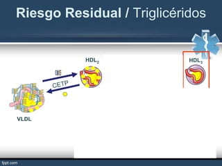 HDL2
VLDL
HDL3
LPL 2
LPL 2 LDLpd
Riesgo Residual / Triglicéridos
LDL
 