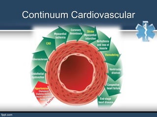 Continuum Cardiovascular
 