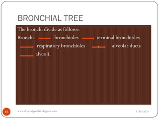 BRONCHIAL TREE 
The bronchi divide as follows: 
Bronchi bronchioles terminal bronchioles 
respiratory bronchioles alveolar ducts 
alveoli. s 
9/18/2014 
15 
www.drjayeshpatidar.blogspot.com  