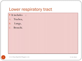 Lower respiratory tract 
It includes: 
A.Trachea, 
B.Lungs, 
C.Bronchi. 
9/18/2014 
2 
www.drjayeshpatidar.blogspot.com  