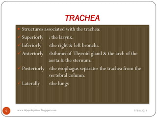 TRACHEA 
Structures associated with the trachea: 
Superiorly: the larynx. 
Inferiorly:the right & left bronchi. 
Anteriorly:Isthmus of Thyroid gland & the arch of the aorta & the sternum. 
Posteriorly:the esophagus separates the trachea from the vertebral column. 
Laterally:the lungs 
9/18/2014 
9 
www.drjayeshpatidar.blogspot.com  