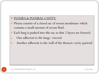 PLEURA & PLEURAL CAVITY: 
Pleura consists of a closed sac of serous membrane which contains a small amount of serous fluid. 
Each lung is pushed into this sac so that 2 layers are formed: 
a.One adherent to the lungs -visceral 
b.Another adherent to the wall of the thoracic cavity-parietal 
9/18/2014 
13 
www.drjayeshpatidar.blogspot.com  