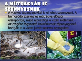 A m Û trágyák is szennyeznek   A vizeket tápanyagokkal is el lehet szennyezni. A bemosódó szerves és műtrágya először elszaporítja, majd elpusztítja a vizek élőlényeit. Az oxigént fogyasztó baktériumok tápanyagokká bontják le a vízbe jutott szerves anyagokat.  