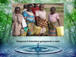 Átlagosan 6 kilométert gyalogolnak a vízért   