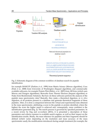 Tandem mass | PDF