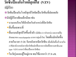 วัคซีนป้ องกันโรคอีสุกอีใส (VZV)
ปฏิกิริยา
วัคซีนป้องกันโรคอีสุกอีใสจัดเป็นวัคซีนที่ปลอดภัย
มีปฏิกิริยาเพียงเล็กน้อย เช่น
บวมแดงร้อนได้เล็กน้อยในตาแหน่งที่ฉีดวัคซีน
ผื่นขึ้นเฉพาะที่
ผื่นแบบอีสุกอีใสขึ้นทั่วตัว (มีเพียง 2-5 ตาแหน่ง และอาจเป็น
ลักษณะของ maculopapular มากกวาตุ่มน้าใส) โดยผื่นมักเกิดขึ้น
ภายในเวลา 5-26 วันหลังจากฉีดวัคซีน (ผื่นที่เกิดขึ้นเร็วภายใน
2 สัปดาห์แรกหลังจากฉีดวัคซีนมักเป็นจากการติดเชื้อธรรมชาติ(wild
type- VZV) มากกว่าที่จะเป็นจากวัคซีน)
ในวัยรุ่นและผู้ใหญ่อาจ พบไข้มากกว่า 37.8 oซ.
 