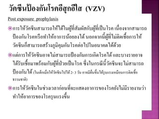 วัคซีนป้ องกันโรคอีสุกอีใส (VZV)
Post exposure prophylaxis
การให้วัคซีนสามารถให้ได้ในผู้ที่สัมผัสกับผู้ที่เป็นโรค เนื่องจากสามารถ
ป้องกันโรคหรือทาให้อาการน้อยลงได้นอกจากนี้ผู้ที่ไม่ติดเชื้อการให้
วัคซีนก็สามารถสร้างภูมิคุมกันโรคต่อไปในอนาคตได้ด้วย
แต่การให้วัคซีนอาจไม่สามารถป้องกันการเกิดโรคได้และบางรายอาจ
ได้รับเชื้อมาพร้อมกับผู้ที่ป่วยเป็นโรค ซึ่งในกรณีนี้วัคซีนจะไม่สามารถ
ป้องกันได้(ในเด็กเมื่อให้วัคซีนไปได้2- 3 วัน อาจมีผื่นขึ้นได้รุนแรงเหมือนการติดเชื้อ
ธรรมชาติ)
การให้วัคซีนในช่วงเวลาก่อนที่จะแสดงอาการของโรคยังไม่มีรายงานว่า
ทาให้อาการของโรครุนแรงขึ้น
 