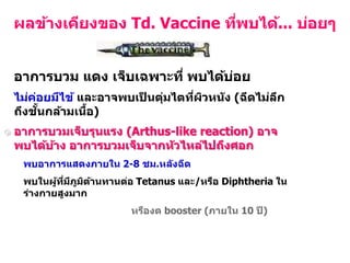  อาการบวม แดง เจ็บเฉพาะที่ พบได้บ่อย
 ไม่ค่อยมีไข้ และอาจพบเป็ นตุ่มไตที่ผิวหนัง (ฉีดไม่ลึก
ถึงชั้นกล้ามเนื้อ)
 อาการบวมเจ็บรุนแรง (Arthus-like reaction) อาจ
พบได้บ้าง อาการบวมเจ็บจากหัวไหล่ไปถึงศอก
 พบอาการแสดงภายใน 2-8 ชม.หลังฉีด
 พบในผู้ที่มีภูมิต้านทานต่อ Tetanus และ/หรือ Diphtheria ใน
ร่างกายสูงมาก
 ดังนั้น...ควรงดเข็มถัดไป หรืองด booster (ภายใน 10 ปี)
ผลข้างเคียงของ Td. Vaccine ที่พบได้... บ่อยๆ
 