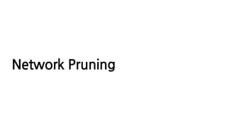 Network Pruning
 