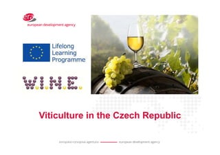 Viticulture in the Czech Republic
 