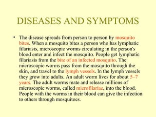 DISEASES AND SYMPTOMS 
• The disease spreads from person to person by mosquito 
bites. When a mosquito bites a person who has lymphatic 
filariasis, microscopic worms circulating in the person's 
blood enter and infect the mosquito. People get lymphatic 
filariasis from the bite of an infected mosquito. The 
microscopic worms pass from the mosquito through the 
skin, and travel to the lymph vessels. In the lymph vessels 
they grow into adults. An adult worm lives for about 5–7 
years. The adult worms mate and release millions of 
microscopic worms, called microfilariae, into the blood. 
People with the worms in their blood can give the infection 
to others through mosquitoes. 
 