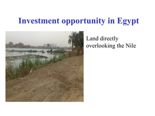 Investment opportunity in Egypt 
• Land directly 
overlooking the Nile 
 