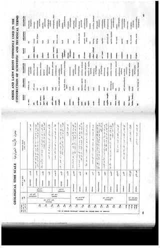 technical terms english arabic dictionary part 5of5 W.x.y.z | PDF