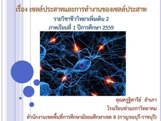 เรื่อง เซลล์ประสาทและการทางานของเซลล์ประสาท
รายวิชาชีววิทยาเพิ่มเติม 2
ภาคเรียนที่ 1 ปีการศึกษา 2559
คุณครูฐิตารีย์ สาเภา
โรงเรียนท่ามะกาวิทยาคม
สานักงานเขตพื้นที่การศึกษามัธยมศึกษาเขต 8 (กาญจนบุรี-ราชบุรี)
 