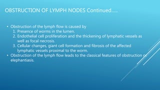 OBSTRUCTION OF LYMPH NODES Continued…..
• Obstruction of the lymph flow is caused by
1. Presence of worms in the lumen.
2. Endothelial cell proliferation and the thickening of lymphatic vessels as
well as focal necrosis.
3. Cellular changes, giant cell formation and fibrosis of the affected
lymphatic vessels proximal to the worm.
• Obstruction of the lymph flow leads to the classical features of obstruction or
elephantiasis.
 