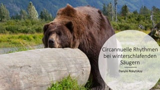 Circannuelle Rhythmen
bei winterschlafenden
Säugern
Danylo Rokytskyy
 
