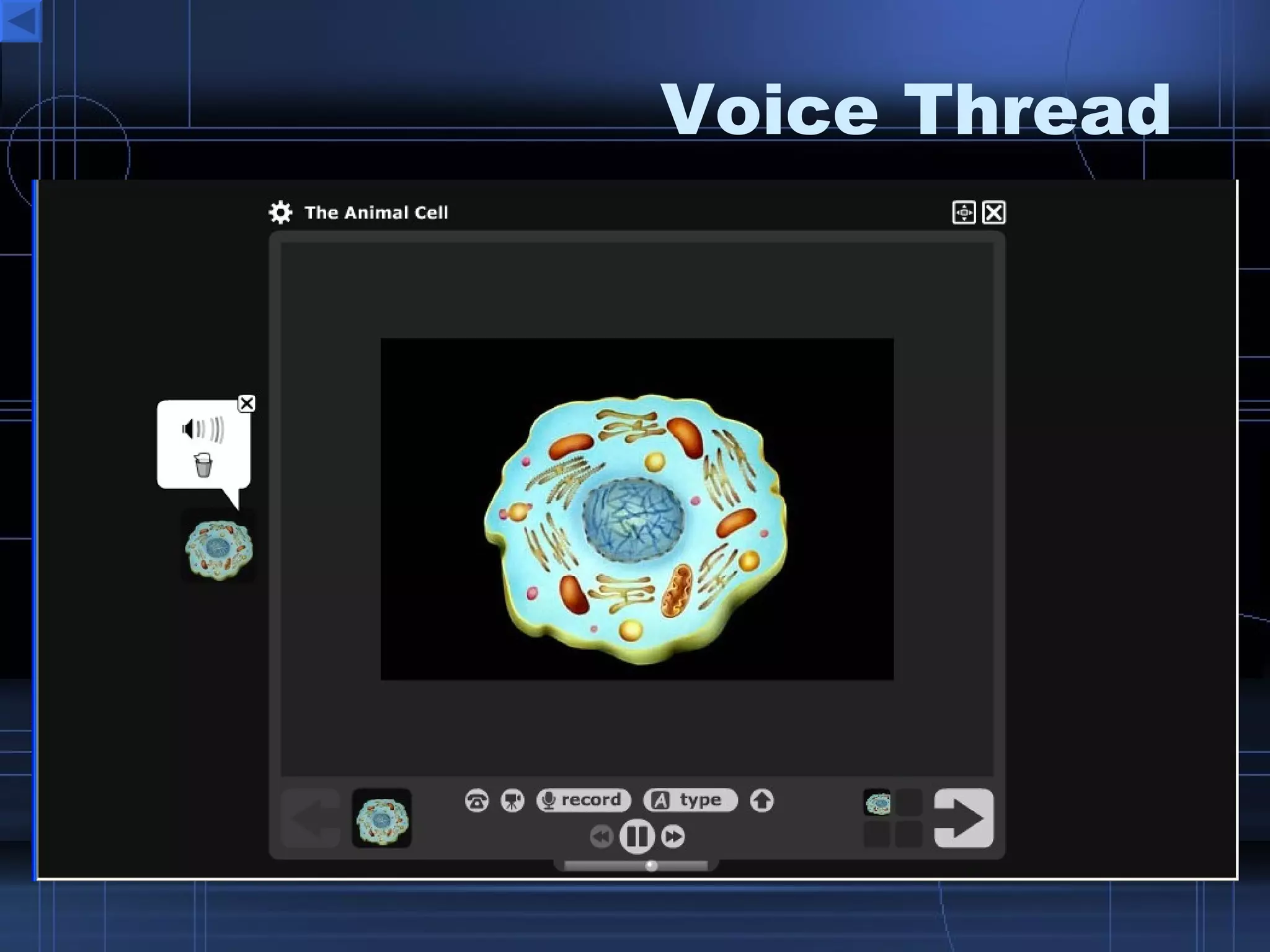 Voice Thread 