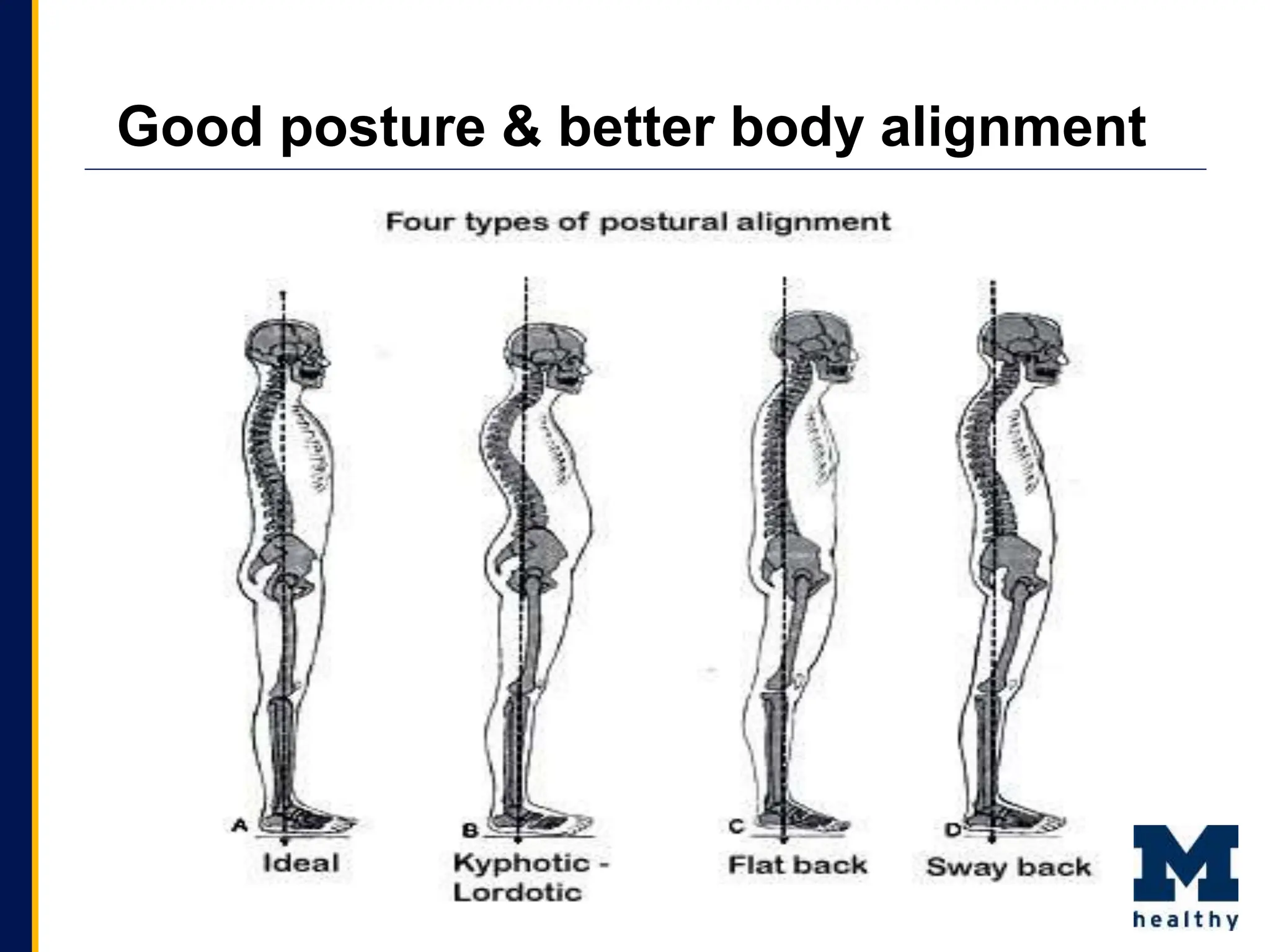 Good posture & better body alignment
 