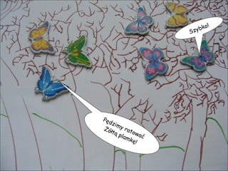 Pędzimy ratować Żółtą plamkę! Szybko! 