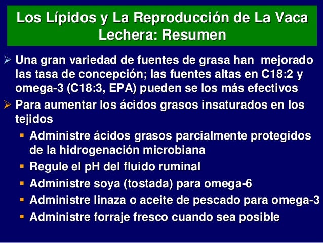 Las pastillas contraceptivas que aumentan bien el pecho