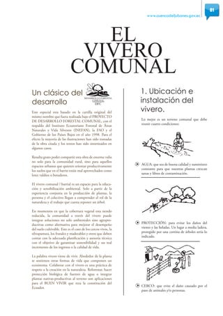 www.cuencadeljubones.gov.ec
Un clásico del
desarrollo
Este especial esta basado en la cartilla original del
mismo nombre que fuera realizada bajo el PROYECTO
DE DESARROLLO FORESTAL COMUNAL, con el
respaldo del Instituto Ecuatoriano Forestal de Áreas
Naturales y Vida Silvestre (INEFAN), la FAO y el
Gobierno de los Países Bajos en el año 1998. Para el
efecto la mayoría de las ilustraciones han sido tomadas
de la obra citada y los textos han sido sintetizados en
algunos casos.
Resulta grato poder compartir esta obra de enorme valía
no solo para la comunidad rural, sino para aquellos
espacios urbanos que quieren orientar productivamente
los suelos que en el barrio están mal aprovechados como
lotes valdíos o botaderos.
El vivero comunal / barrial es un espacio para la educa-
ción y sensibilización ambiental. Solo a partir de la
experiencia conjunta en la producción de plantas, la
persona y el colectivo llegan a comprender el rol de la
naturaleza y el trabajo que cuesta reponer un árbol.
En momentos en que la cobertura vegetal esta siendo
reducida, la comunidad a través del vivero puede
integrar soluciones no solo ambientales sino agropro-
ductivas como alternativa para mejorar el desempeño
del suelo cultivable. Este es el caso de los cercos vivos, la
silvopastura, los frutales y maderables y otros que deben
contar con la adecuada planificación y asesoría técnica
con el objetivo de garantizar sostenibilidad y un real
incremento de los ingresos o la calidad de vida.
La palabra vivero viene de vivir. Alrededor de la planta
se sostienen otras formas de vida que componen un
ecosistema. Colaborar con el vivero es una práctica de
respeto a la creación en la naturaleza. Reforestar, hacer
protección biológica de fuentes de agua o integrar
plantas nativas-productivas al terreno son aplicaciones
para el BUEN VIVIR que reza la constitución del
Ecuador.
Lo mejor es un terreno comunal que debe
reunir cuatro condiciones:
AGUA: que sea de buena calidad y suministro
constante para que nuestras plantas crezcan
sanas y libres de contaminación.
PROTECCIÓN: para evitar los daños del
viento y las heladas. Un lugar a media ladera,
protegido por una cortina de árboles sería lo
indicado.
CERCO: que evite el daño causado por el
paso de animales y/o personas.
1. Ubicación e
instalación del
vivero.
01
 