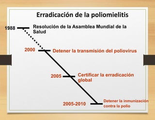 Erradicación de la poliomielitis
1988 Resolución de la Asamblea Mundial de la
Salud
2000 Detener la transmisión del poliovirus
2005 Certificar la erradicación
global
2005-2010
Detener la inmunización
contra la polio
 