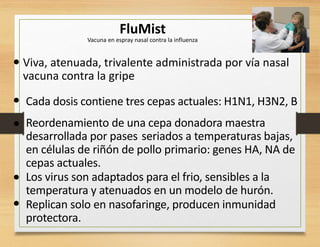 FluMist
Vacuna en espray nasal contra la influenza
•
Cada dosis contiene tres cepas actuales: H1N1, H3N2, B•
• Reordenamiento de una cepa donadora maestra
desarrollada por pases seriados a temperaturas bajas,
en células de riñón de pollo primario: genes HA, NA de
cepas actuales.
Los virus son adaptados para el frio, sensibles a la
temperatura y atenuados en un modelo de hurón.
Replican solo en nasofaringe, producen inmunidad
protectora.
•
•
Viva, atenuada, trivalente administrada por vía nasal
vacuna contra la gripe
 