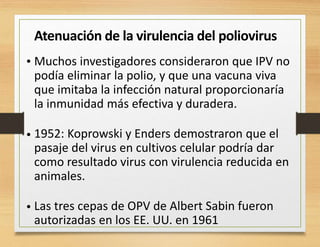 Atenuación de la virulencia del poliovirus
Muchos investigadores consideraron que IPV no
podía eliminar la polio, y que una vacuna viva
que imitaba la infección natural proporcionaría
la inmunidad más efectiva y duradera.
1952: Koprowski y Enders demostraron que el
pasaje del virus en cultivos celular podría dar
como resultado virus con virulencia reducida en
animales.
Las tres cepas de OPV de Albert Sabin fueron
autorizadas en los EE. UU. en 1961
•
•
•
 