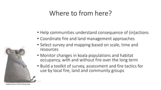 BushfireConf2017 – 18. People, fire and koalas comparing fire management approaches from the far north and south coasts of NSW.