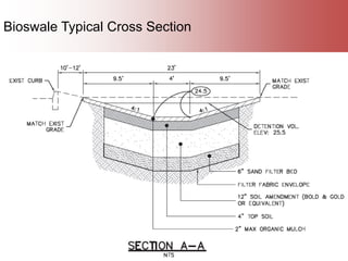 24
Bioswale Typical Cross Section
 
