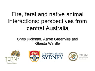 Fire, feral and native animal
interactions: perspectives from
central Australia
Chris Dickman, Aaron Greenville and
Glenda Wardle
 