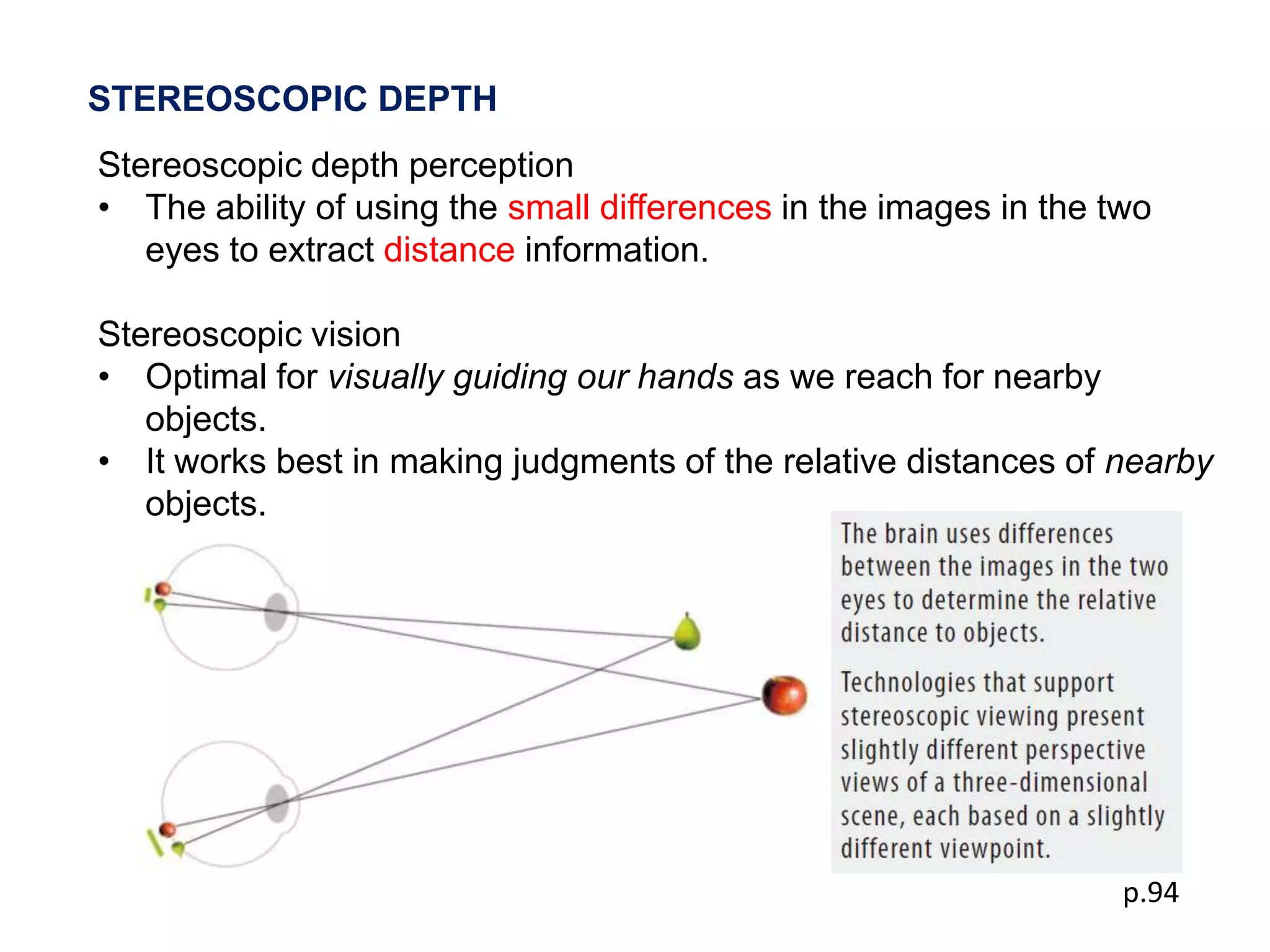 STEREOSCOPIC DEPTH
Stereoscopic depth perception
• The ability of using the small differences in the images in the two
   eyes to extract distance information.

Stereoscopic vision
• Optimal for visually guiding our hands as we reach for nearby
   objects.
• It works best in making judgments of the relative distances of nearby
   objects.




                                                                   p.94
 