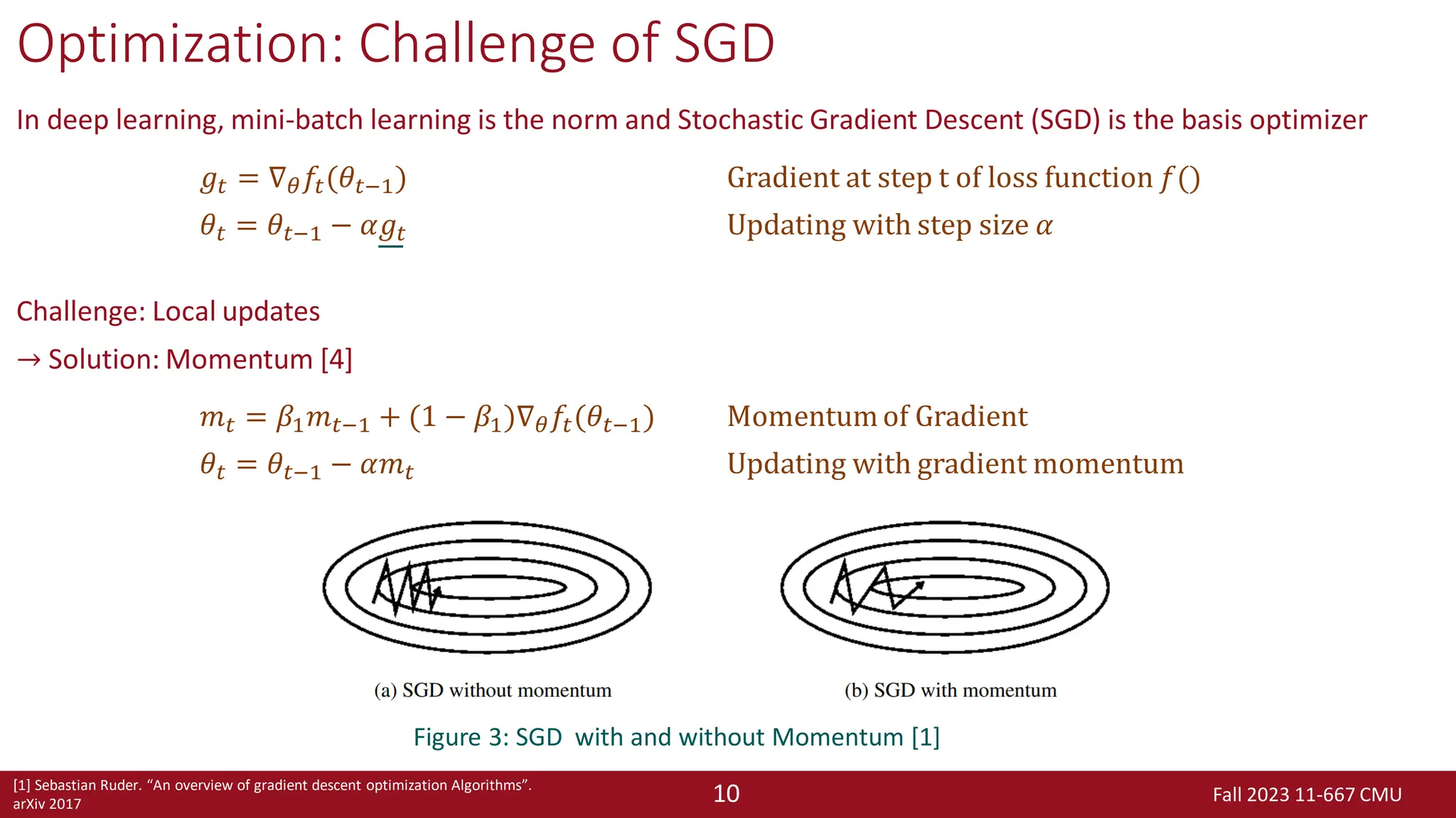 Fall 2023 11-667 CMU
10
Optimization: Challenge of SGD
In deep learning, mini-batch learning is the norm and Stochastic Gradient Descent (SGD) is the basis optimizer
Challenge: Local updates
→ Solution: Momentum [4]
𝑔𝑡 = ∇𝜃𝑓𝑡(𝜃𝑡−1) Gradient at step t of loss function 𝑓()
𝜃𝑡 = 𝜃𝑡−1 − 𝛼𝑔𝑡 Updating with step size 𝛼
𝑚𝑡 = 𝛽1𝑚𝑡−1 + (1 − 𝛽1)∇𝜃𝑓𝑡(𝜃𝑡−1) Momentum of Gradient
𝜃𝑡 = 𝜃𝑡−1 − 𝛼𝑚𝑡 Updating with gradient momentum
[1] Sebastian Ruder. “An overview of gradient descent optimization Algorithms”.
arXiv 2017
Figure 3: SGD with and without Momentum [1]
 