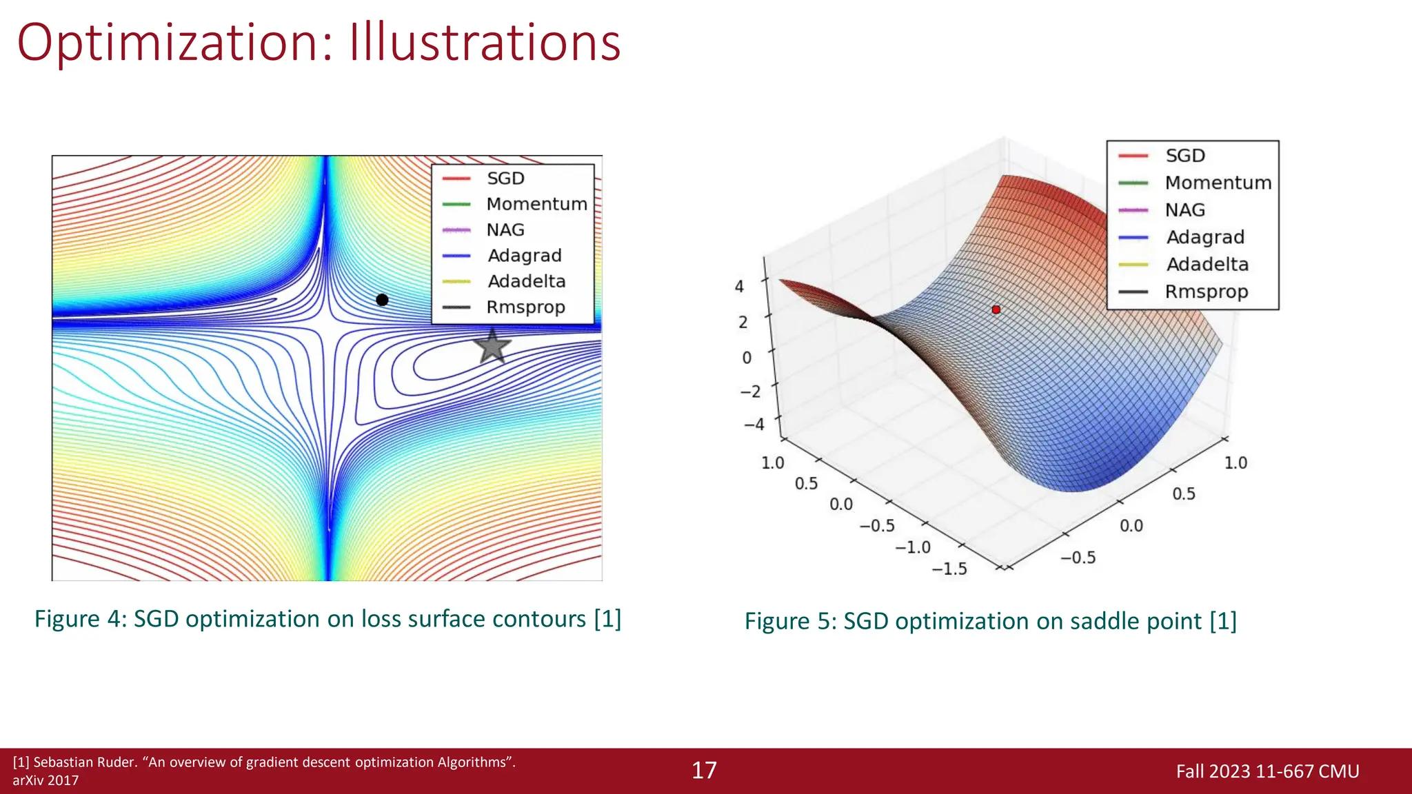Fall 2023 11-667 CMU
17
Optimization: Illustrations
Figure 4: SGD optimization on loss surface contours [1] Figure 5: SGD optimization on saddle point [1]
[1] Sebastian Ruder. “An overview of gradient descent optimization Algorithms”.
arXiv 2017
 
