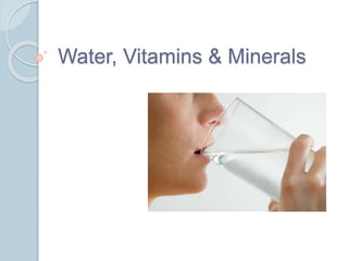Water, Vitamins & Minerals
 