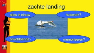 survival tips introductie introductiemiddag28 junibijwie zit ik in de klas?