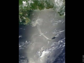 W12 green door-barnes