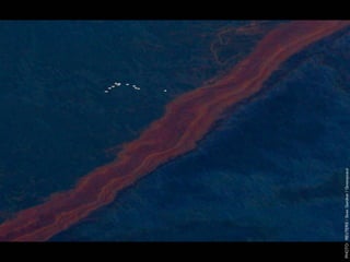 W12 green door-barnes