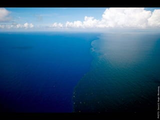 W12 green door-barnes