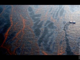 W12 green door-barnes