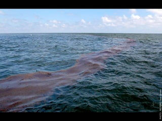 W12 green door-barnes