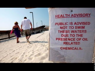 W12 green door-barnes